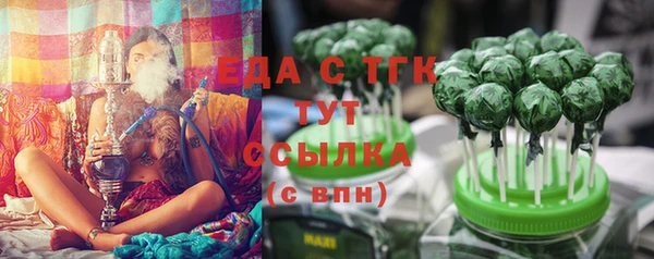 дмт Богородицк