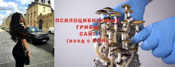 дмт Богородицк